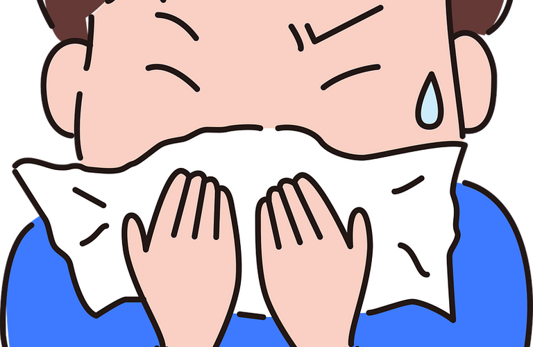 自然の力で、花粉症を遠ざける。