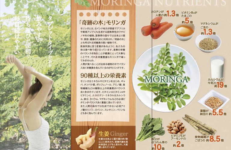 血糖値コントロールに効果的！モリンガが糖尿病をサポート